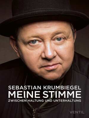 cover image of Meine Stimme